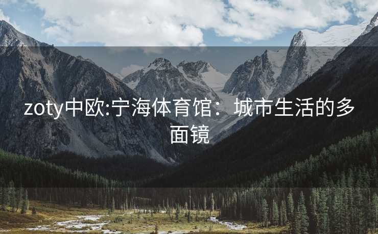 zoty中欧:宁海体育馆：城市生活的多面镜