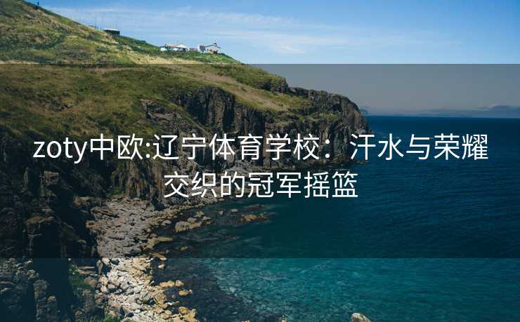 zoty中欧:辽宁体育学校：汗水与荣耀交织的冠军摇篮