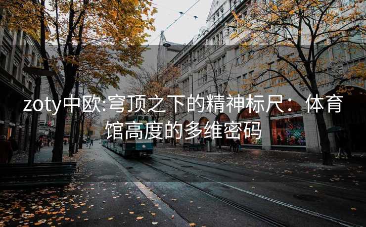 zoty中欧:穹顶之下的精神标尺：体育馆高度的多维密码