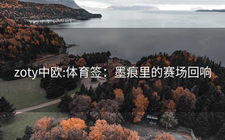 zoty中欧:体育签：墨痕里的赛场回响